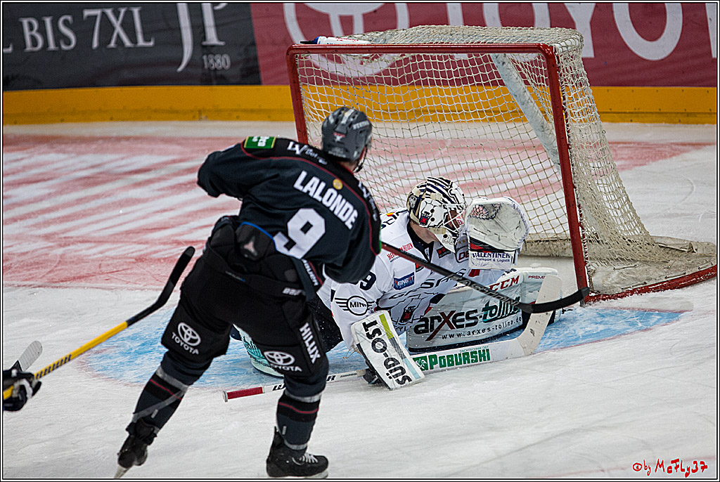 Koelner Haie - Eisbaeren Berlin, 13.11.2016
